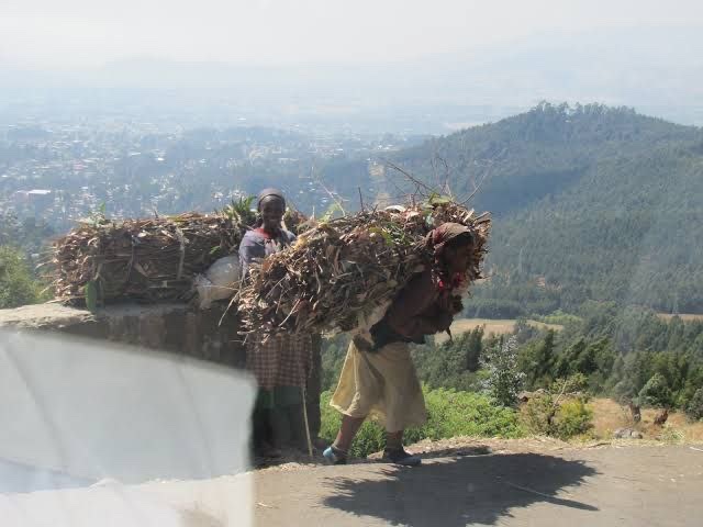nafyadwakjira3's tweet photo. The #GERD as a source of energy for cooking and power, for water extraction frees women from travelling many kilometers each day to fetch water and firewood. It reduces the physical labor that women commonly perform. #GERD4All #ColorsOfUnity
#GERDisanAfricanProject https://t.co/XJihO1loKr