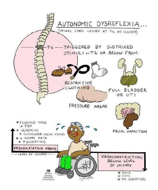 Oren Gottfried, MD tweet media