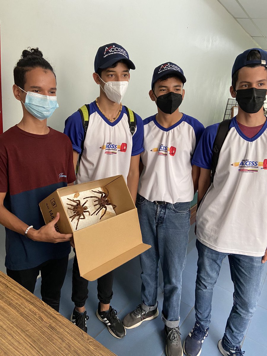 MIZAUCV's tweet photo. Grata visita de profesores y estudiantes del English Access Program-Maracay @accessmaracay . Excelente intercambio de experiencias sobre biodiversidad y el mundo de los insectos.  Estudiar y conservar  la biodiversidad, clave para nuestra vida.  ¡Siempre bienvenidos! https://t.co/eJhn86hbAg