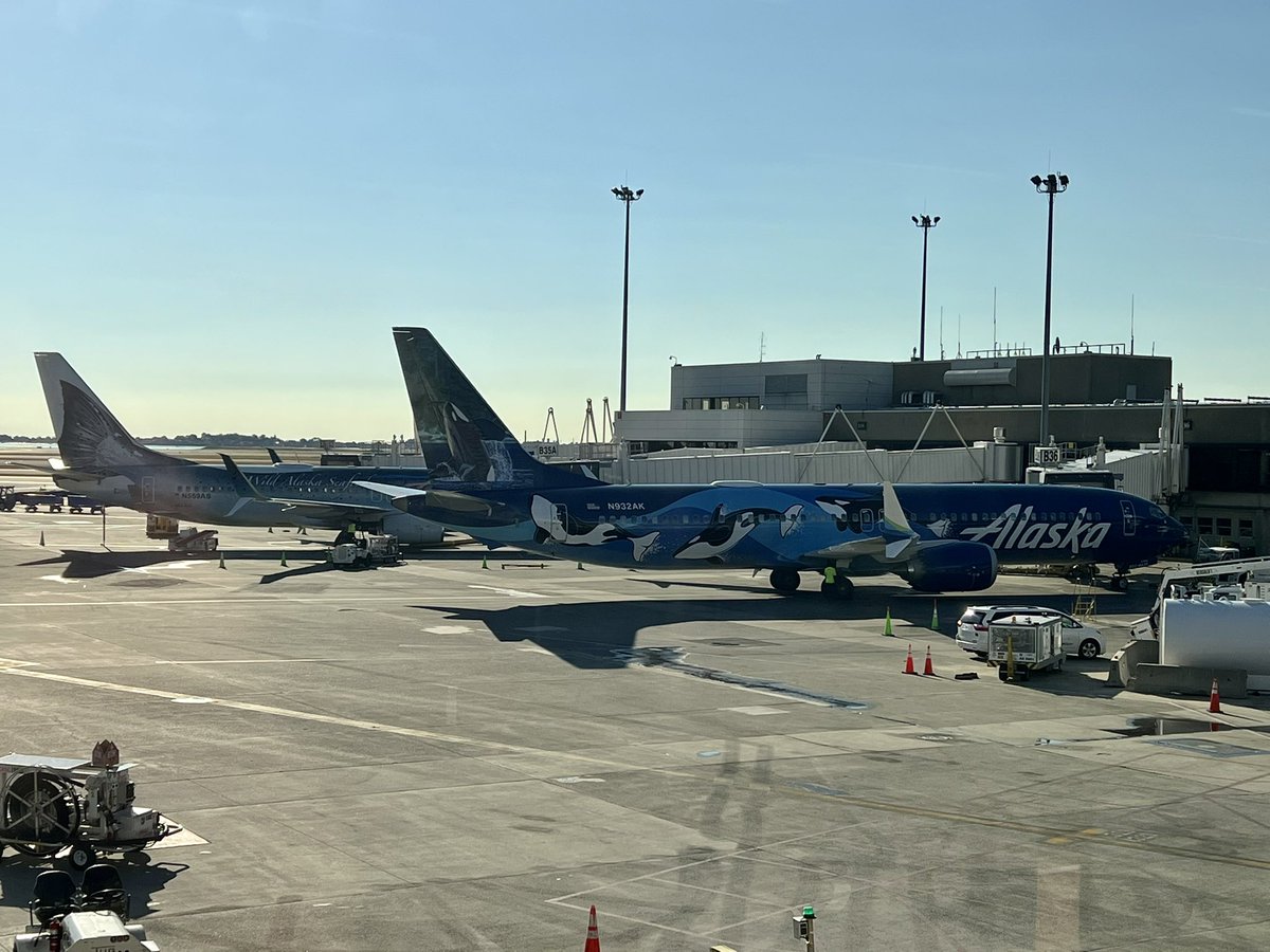BDY60614's tweet photo. @AlaskaAir with the Orca &amp; Salmon Thirty Seven side by side this morning @BostonLogan https://t.co/cqh3Qm2siA