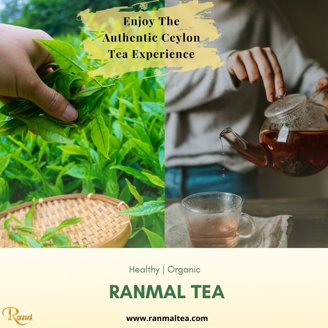 We bring the authentic Ceylon Tea experience at your door stepts. Explore the Organic Ceylon tea flavours from the finest tea estates!☕🥰😍
Shop online at ranmaltea.com
 #Tea #organictea #australiatea #newsouthwalesaustralia #australia #ceylontea #healthy