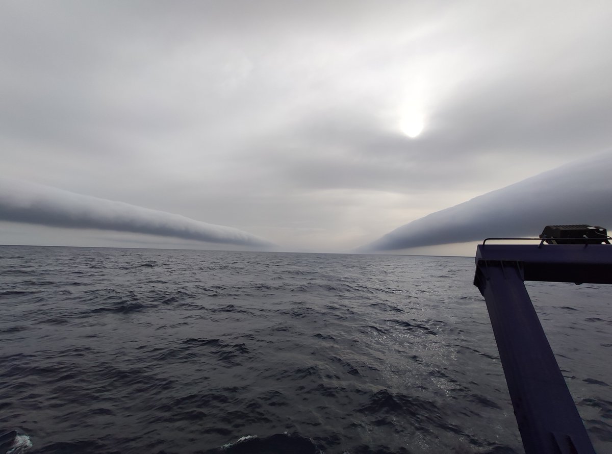 IEOVigo's tweet image. 🌊🚢🐬En la campaña @scans_4 #ABordoIEO además de cetáceos también pudimos observar este fenómeno meteorológico.

Creemos que pueden ser nubes rodillo, pero ¿qué opina @AEMET_Esp?