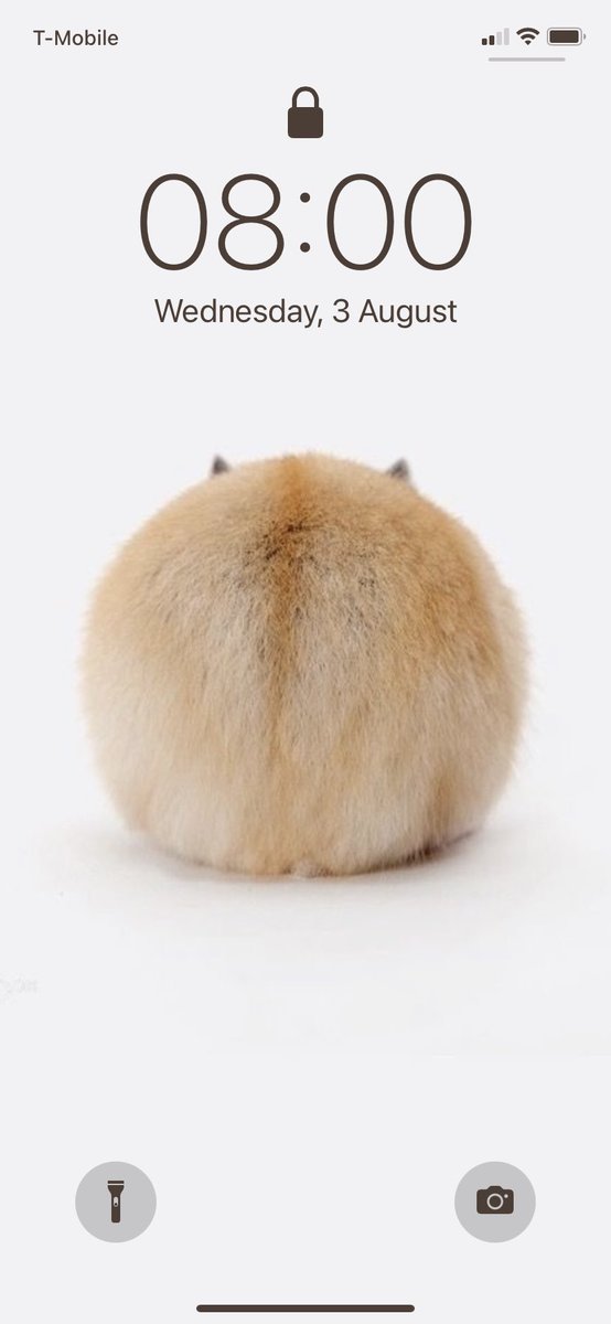 mopsss_ tweet picture