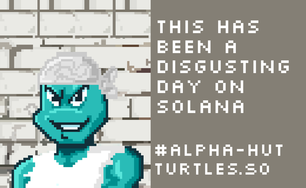 Turtles 🔼🐢 tweet media