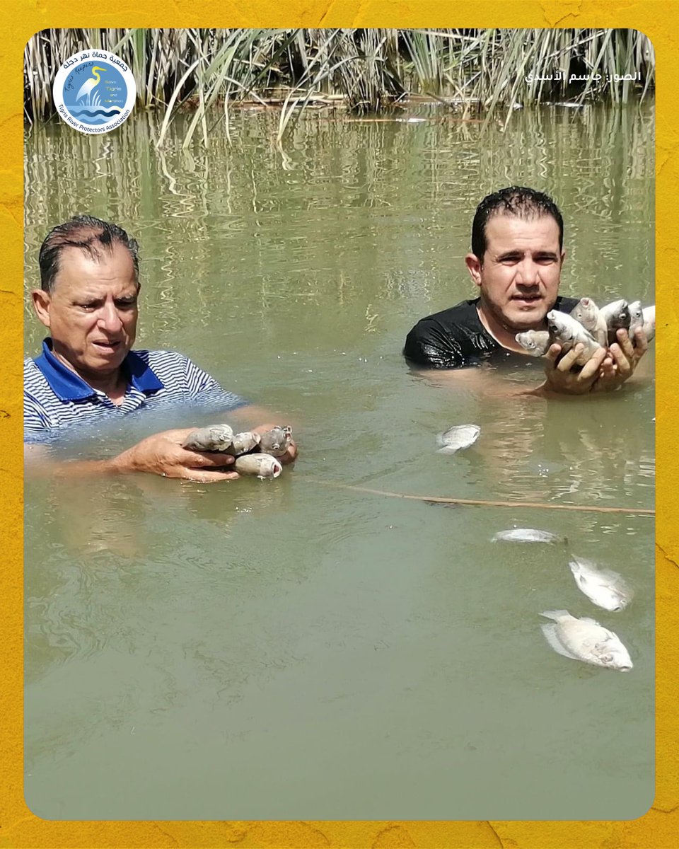 humatdijlah's tweet image. تخيلوا حياة بدون ماي .. بدون سمك، بدون حليب، بدون نباتات، بدون بشر .. وين الحياة؟ 

هذا عدم وموت .. للأسف واقع جنوب #العراق هيج يصير يوم بعد يوم 

بدل الاهوار ضلينا نلكه بقايا ابقار وبقايا سمك والناس هاجرت ويمكن نلكه جثث

#حماة_دجلة