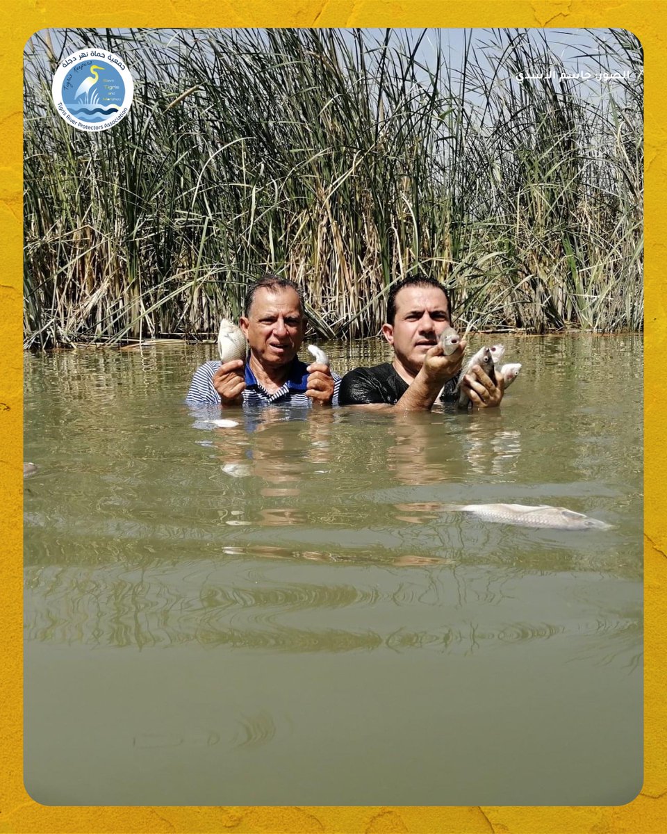 humatdijlah's tweet image. تخيلوا حياة بدون ماي .. بدون سمك، بدون حليب، بدون نباتات، بدون بشر .. وين الحياة؟ 

هذا عدم وموت .. للأسف واقع جنوب #العراق هيج يصير يوم بعد يوم 

بدل الاهوار ضلينا نلكه بقايا ابقار وبقايا سمك والناس هاجرت ويمكن نلكه جثث

#حماة_دجلة