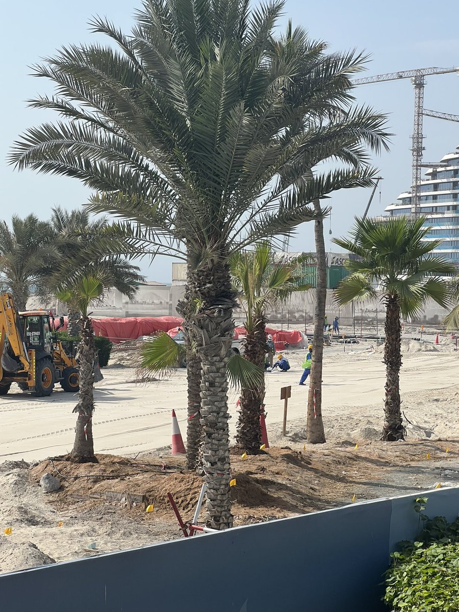 GopiLaura's tweet photo. @JumeirahBH  response to us being upset that constant drilling noise and visible building site from pool area .. not their prob as booked through https://t.co/Wn16TnOo0y ( despite paying ++for suite ) avoid avoid avoid https://t.co/oU4x2ctGCQ