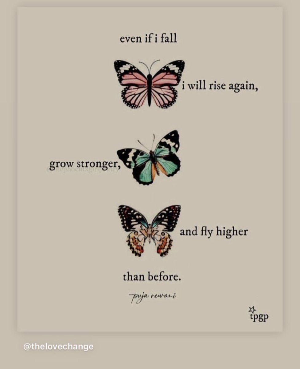 Steven Thomas tweet media