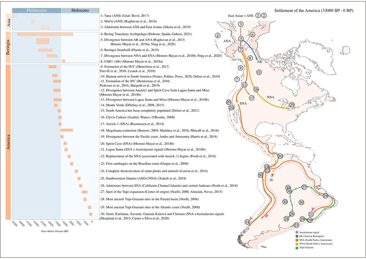 Our review on human history in South America is just out! Here we aim to create a comprehensive picture of the main events involved in the formation of contemporary South American indigenous populations. Many thanks to @MacsCastro and Tiago Ferraz! scielo.br/j/gmb/a/SSGnGN…