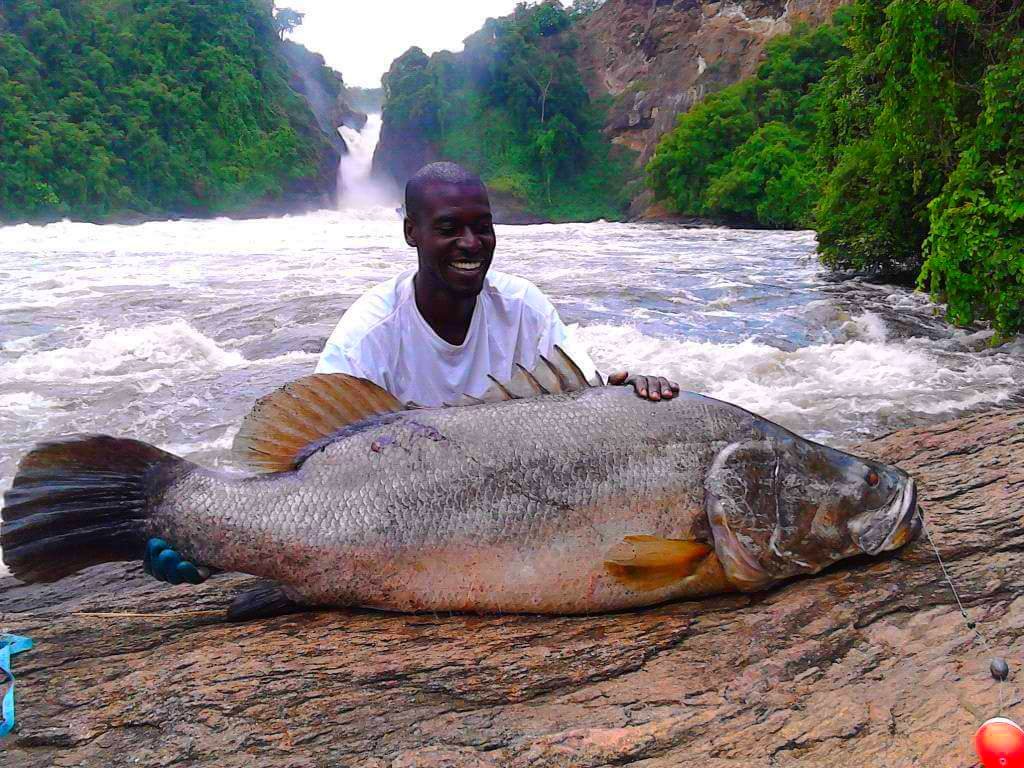 FredNshemereirw's tweet photo. Top Four(4) most biggest African Countries in“fish farming”according to rank 2020

(1)-Egypt 🇪🇬 1.8 million tons [6th Globally]

(2)-Nigeria 🇳🇬 300,000 tons [20th Globally]

(3)-Uganda 🇺🇬 100,000 tons [32th Globally]

(4)-Ghana 🇬🇭 52,000 tons [40th Globally]

📷#greenamazon https://t.co/ust1ihmUDy