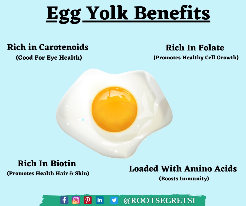 Rootsecrets1's tweet photo. EGG YOLK BENEFITS
Rich in Carotenoids (Good For Eye Health)
Rich In Folate (Promotes Healthy Cell Growth)
Rich In Biotin (Promotes Health Hair & Skin)
Loaded With Amino Acids (Boosts Immunity)
.
#rootsecrets #eggyolk #egg https://t.co/Bk22Rl0GPA