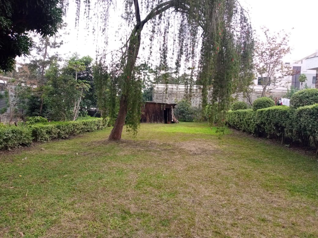 durianconsult11's tweet photo. Half acre land for sale in kitusuru for 70m
Contact us for more information or viewing
durianconsult@gmail.com
0715936920 #realestatemarket #realestateagent US Embassy #kenya #nairobicountycapture #africa Ferdinand Omanyala https://t.co/hBqB0xaQZ1