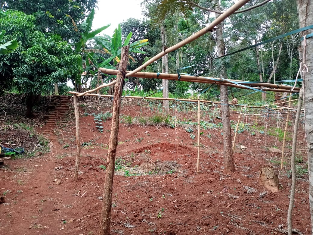 durianconsult11's tweet photo. Half acre land for sale in kitusuru for 70m
Contact us for more information or viewing
durianconsult@gmail.com
0715936920 #realestatemarket #realestateagent US Embassy #kenya #nairobicountycapture #africa Ferdinand Omanyala https://t.co/hBqB0xaQZ1