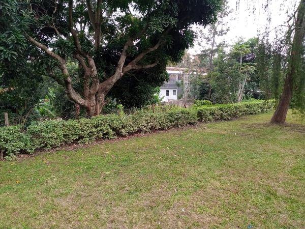 durianconsult11's tweet photo. Half acre land for sale in kitusuru for 70m
Contact us for more information or viewing
durianconsult@gmail.com
0715936920 #realestatemarket #realestateagent US Embassy #kenya #nairobicountycapture #africa Ferdinand Omanyala https://t.co/hBqB0xaQZ1