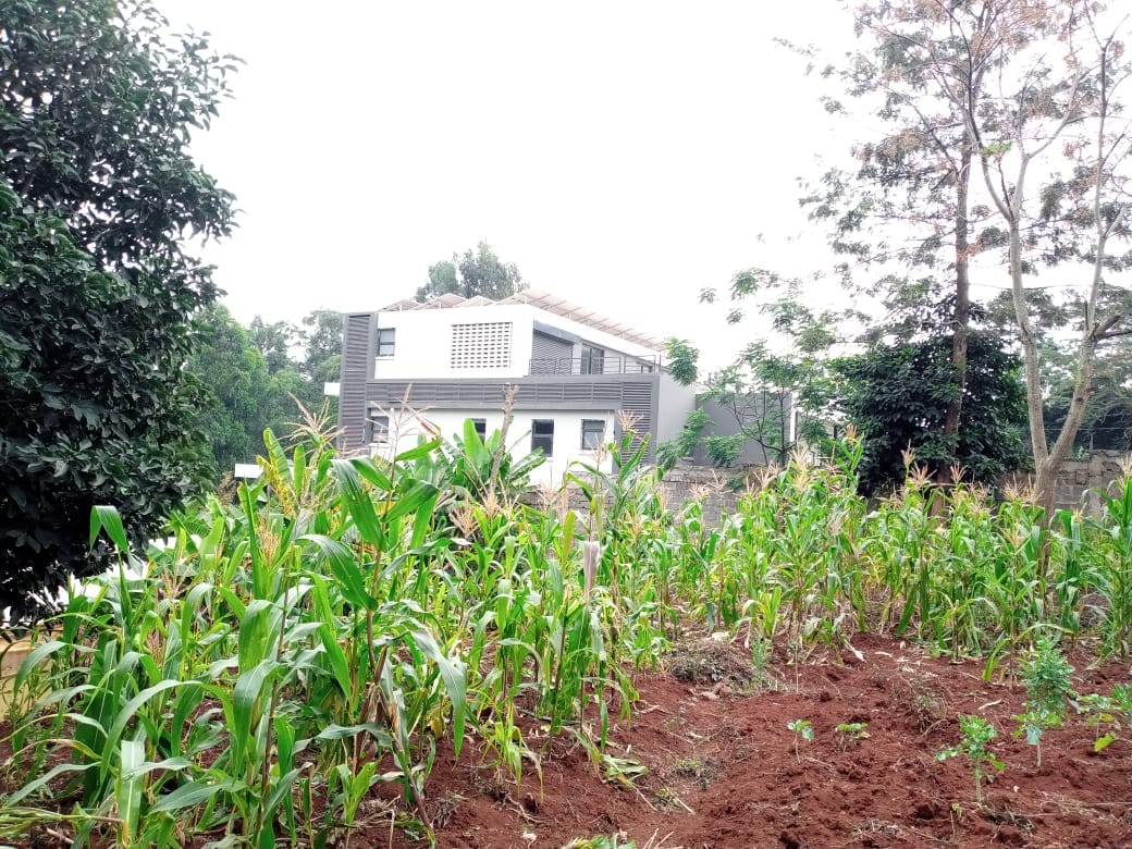 durianconsult11's tweet photo. Half acre land for sale in kitusuru for 70m
Contact us for more information or viewing
durianconsult@gmail.com
0715936920 #realestatemarket #realestateagent US Embassy #kenya #nairobicountycapture #africa Ferdinand Omanyala https://t.co/hBqB0xaQZ1