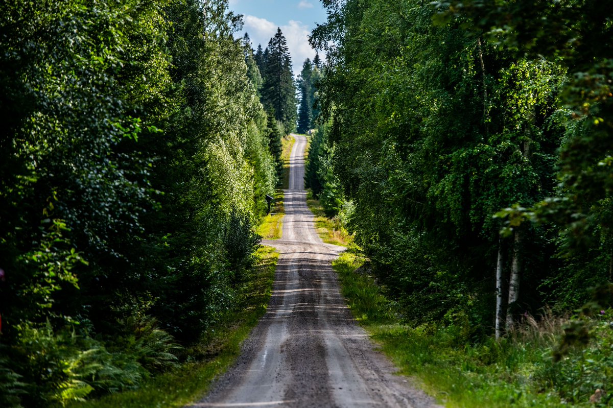 Oliver Solberg 🍩 tweet media