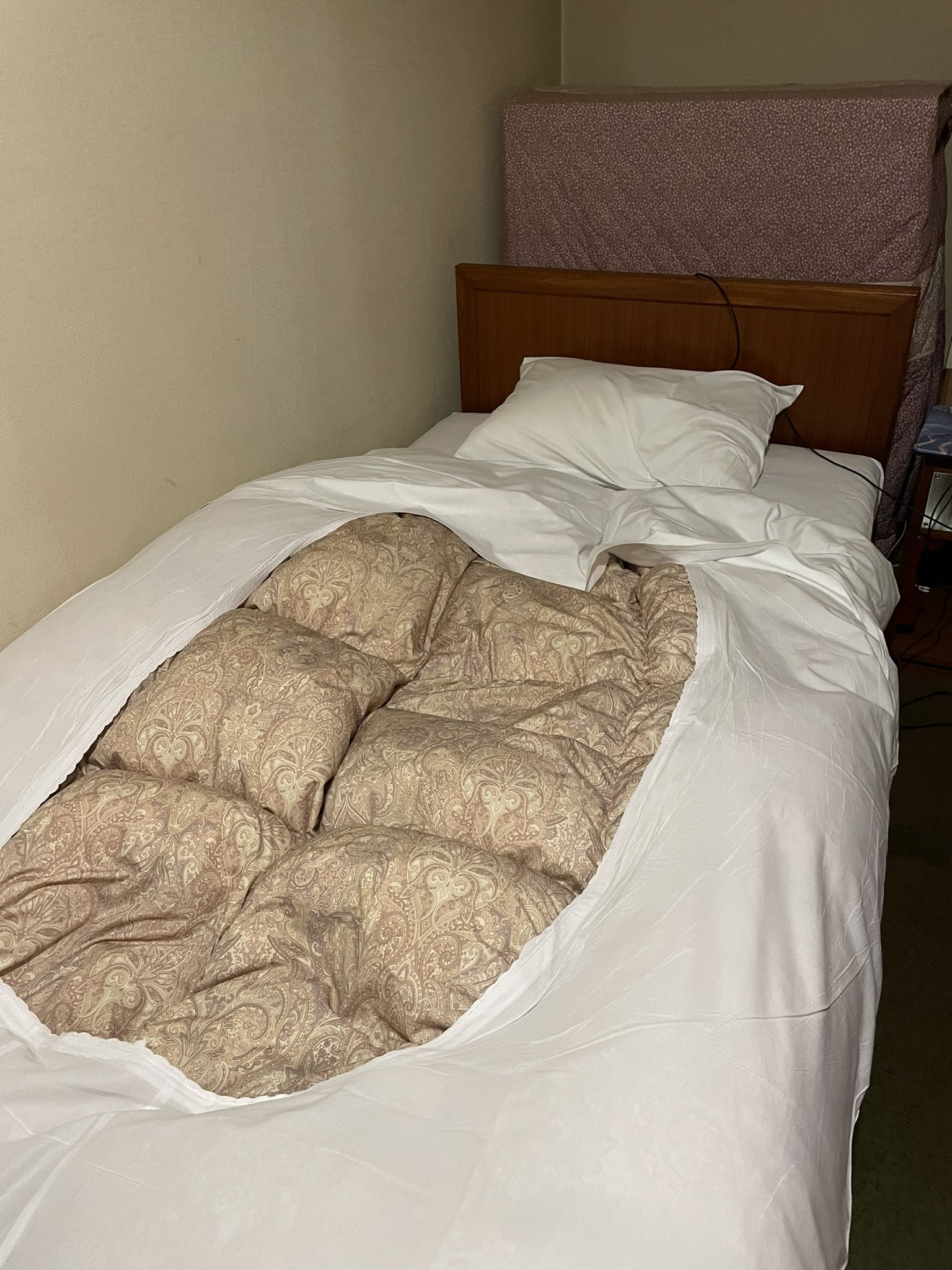 tofu 🐹 ️hamhua 🦌🐺 on Twitter "Why does my bed have abs https//t.co