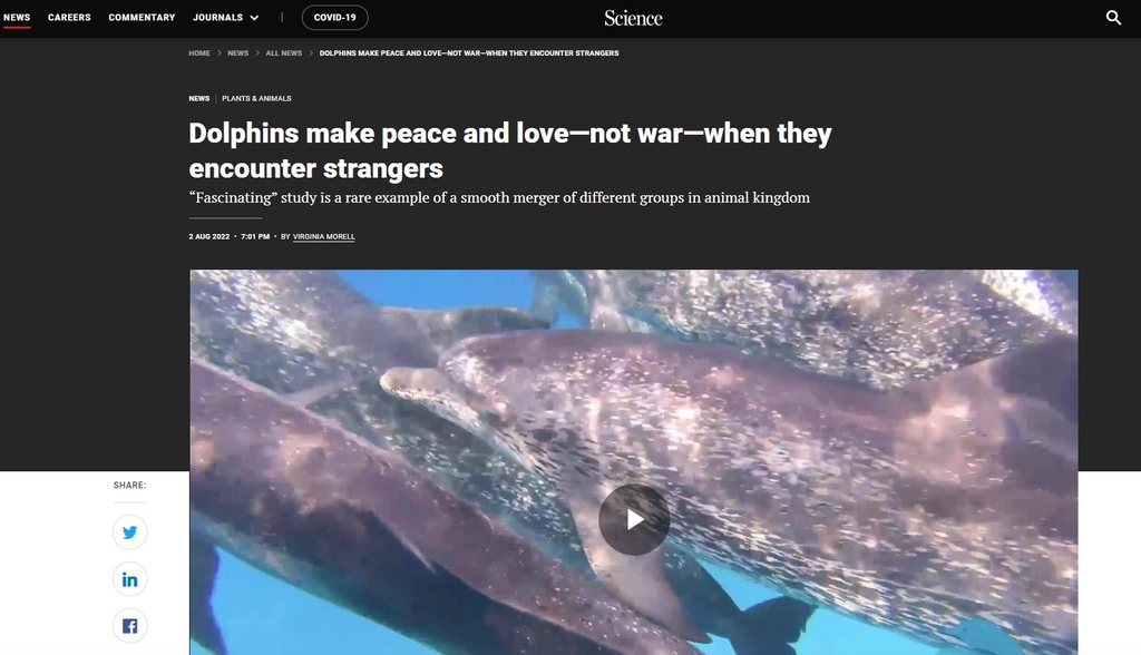 Dolphin Comm Project (@dolphincommu) on Twitter photo Why yes, that is DCP's latest #dolphin publication grabbing the attention of <a href="/ScienceNews/">Science News</a>. Kudos to lead author Nicole. Many thanks to co-authors from <a href="/UMassD/">UMass Dartmouth</a> and @DolphinAlliance. #SMM2022 #Bimini <a href="/FIU/">FIU</a> <a href="/RSocPublishing/">Royal Society Publishing</a> science.org/content/articl… Why yes, that is DCP's latest #dolphin publication grabbing the attention of <a href="/ScienceNews/">Science News</a>. Kudos to lead author Nicole. Many thanks to co-authors from <a href="/UMassD/">UMass Dartmouth</a> and @DolphinAlliance. #SMM2022 #Bimini <a href="/FIU/">FIU</a> <a href="/RSocPublishing/">Royal Society Publishing</a> science.org/content/articl…