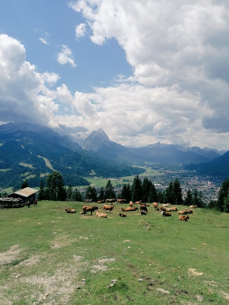 Jeremias Lab tweet media