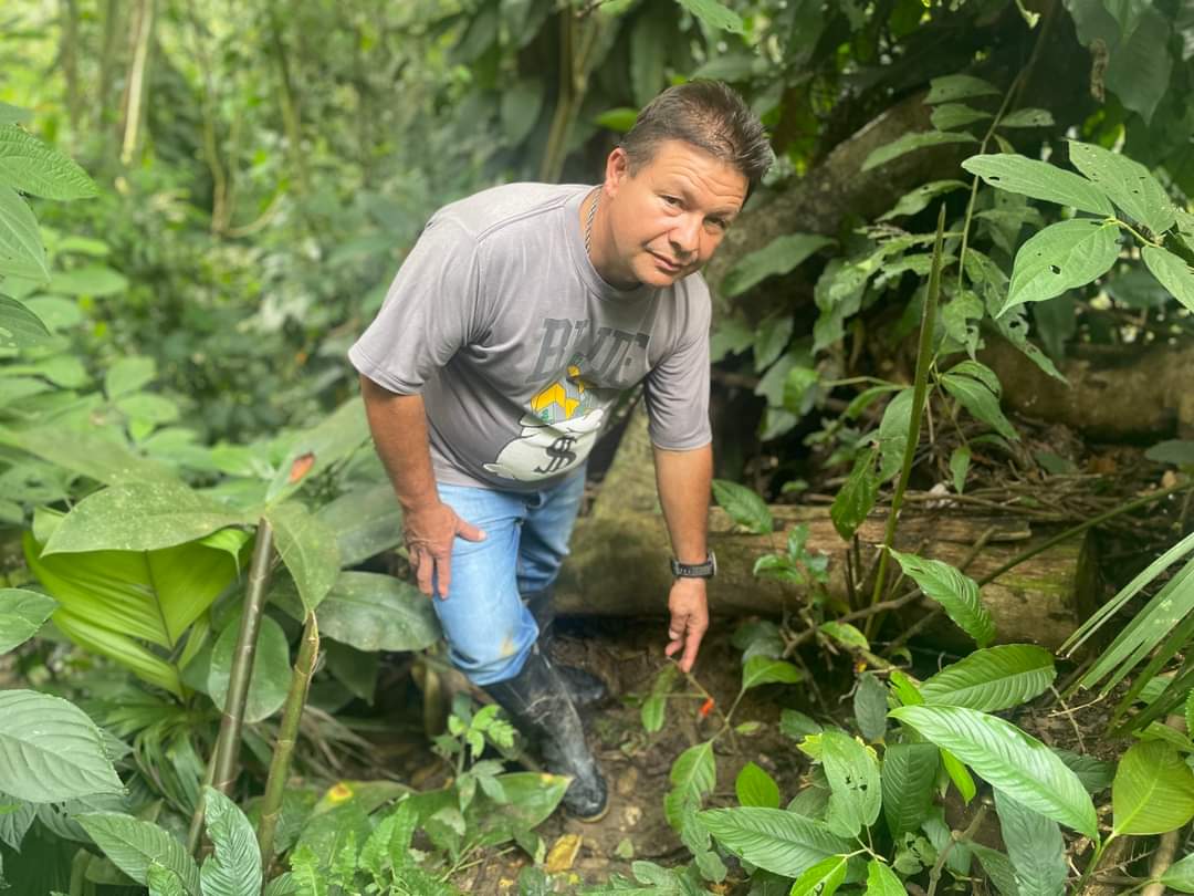 Fundebancomuni1's tweet photo. Nos entusiasma compartir con ustedes algunos de los resultados alcanzados en nuestro proyecto de restauración en las microcuencas Guandusaca y Palmichal. 

A la fecha contamos con más de 2.000 árboles sembrados, propagados de la mano de la Fundación Mujeres Rurales https://t.co/6RCcabaBPN