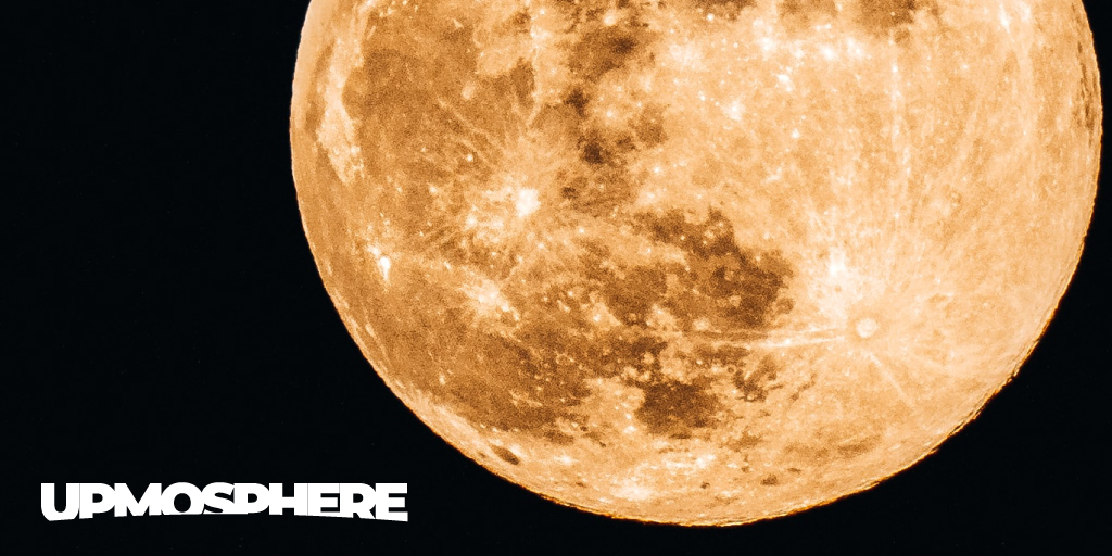 Upmosphere tweet media