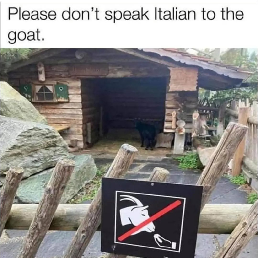 orzel_patriot's tweet image. Good Mornin! 🤗☕ Coffee, sunshine and waking up with a smile...never a bad start to a new day. I hope everyone has a fantastic day! Share that gorgeous smile, give a hug and try to be kind. So many people need a reason to smile...be that for them. ♥️💋 

👇🤌😂