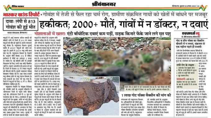 Tard_Prem's tweet photo. पशुपालन विभाग के पास पशु चिकित्सक ही नहीं है ,राजस्थान जैसे इतने बड़े प्रदेश में मात्र 2400 पशु चिकित्सा अधिकारी के पद है , उनमें से 70% पद रिक्त हैं। पिछ्ले 10 वर्षों में 1 भी पशु चिकित्सक नियुक्त नहीं करा, इस भयानक बीमारी से बेजुबान को बचाइए🙏 #पशुचिकित्साअधिकारीभर्ती2019 https://t.co/pRbw1mXcIF