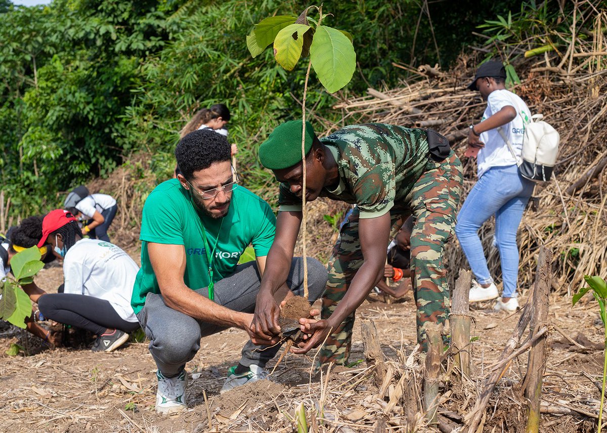 #GreenAction☘️ Combien d'arbre as-tu déjà planté ? Dis-le nous en commentaire! #GreenIvory #environment