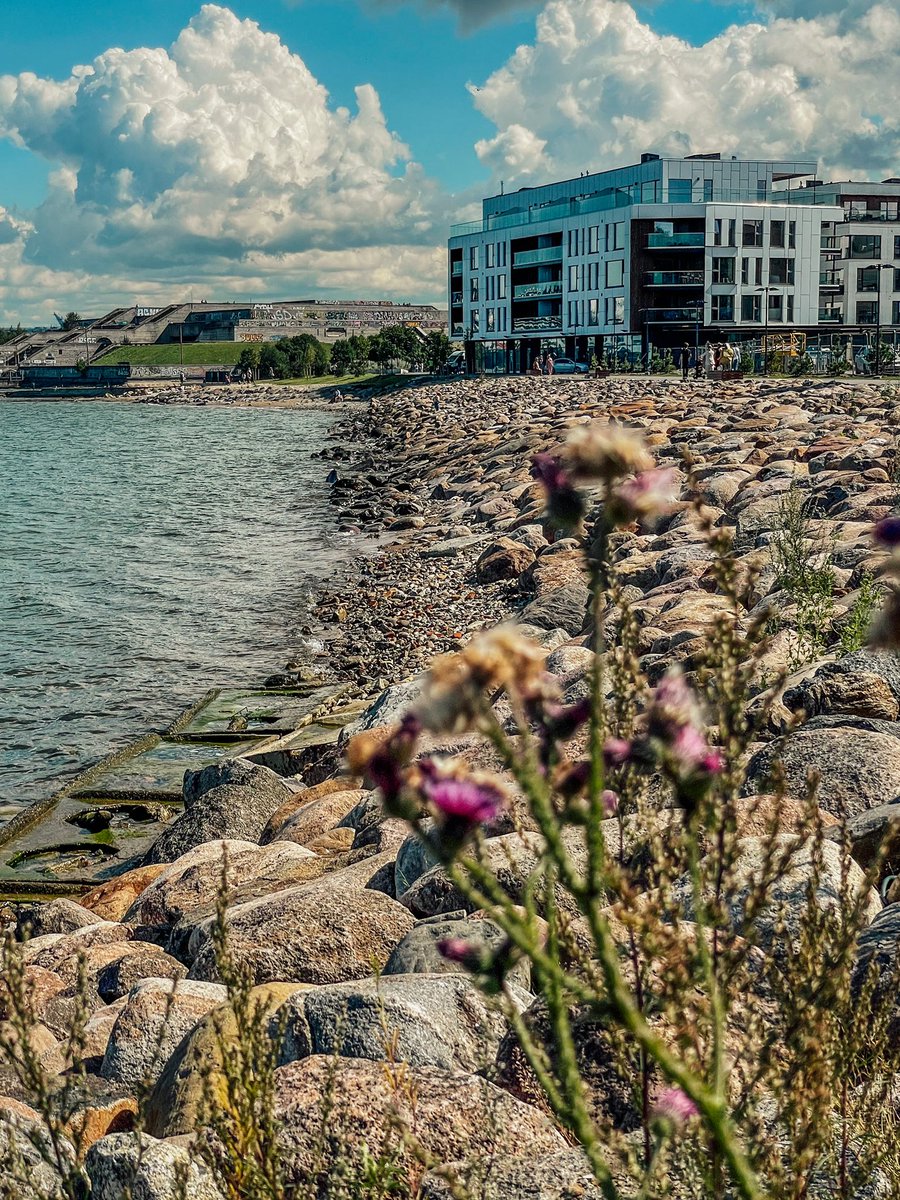 VisitTallinn's tweet photo. New in #Tallinn! Kalaranna promenade was recently opened to the public after year long building works. You can now take a seaside stroll all the way from #Noblessner to #Pirita beach. #visittallinn #visitestonia #promenade #seaside #Estonia https://t.co/xv7lGxmQIl