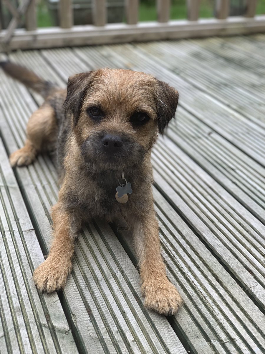 FreddieRedGrizz's tweet photo. Before and after shots. What do you think, pals? #SummerDo #BTPosse https://t.co/r1OlXKqad6