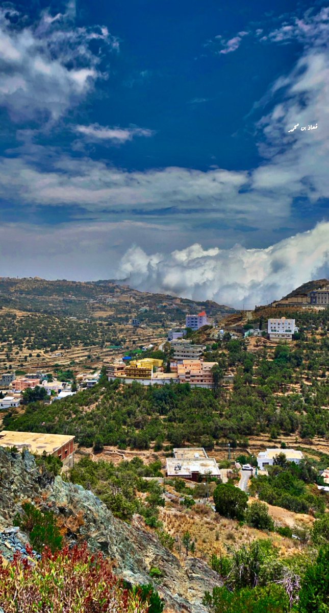 معاذ بن محمد tweet media