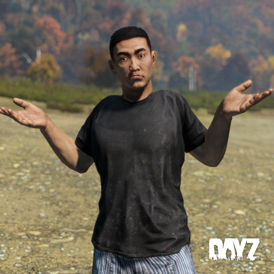 Bohemia Interactive tweet media