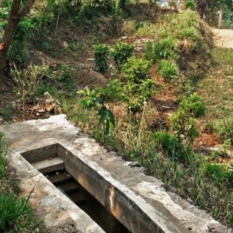 IFAD's tweet photo. After 9 years abroad, Megnath arrived home in #Nepal to find barren, degraded farmlands.

Today, the transformation of his farm is astounding. 

See how permaculture made it possible 🌱🌟