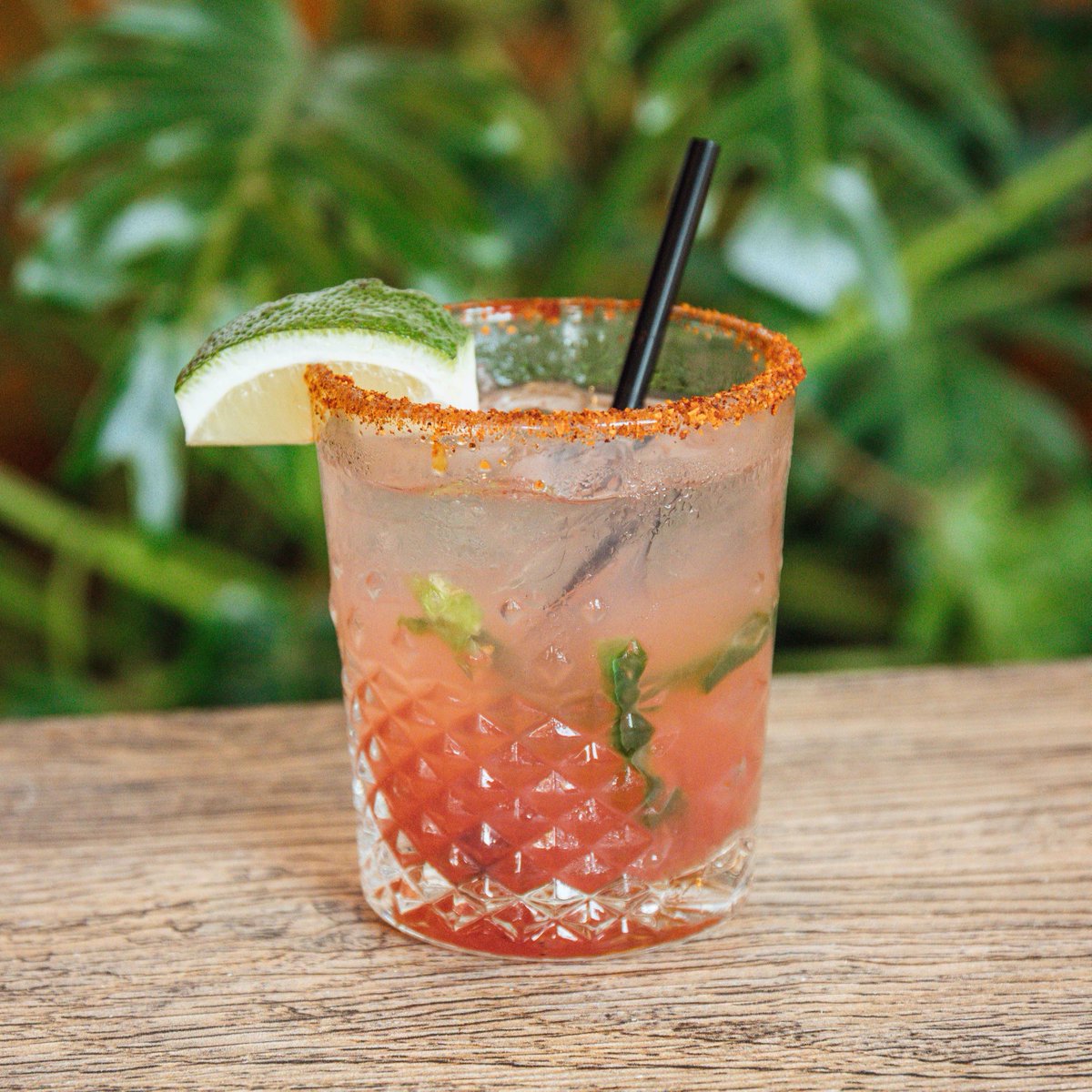 ElChileCafe's tweet photo. Happy #nationalwatermelonday 🍉

Sip on our Spicy Sandia available all day for $8! https://t.co/0Cw1Pb1a3u