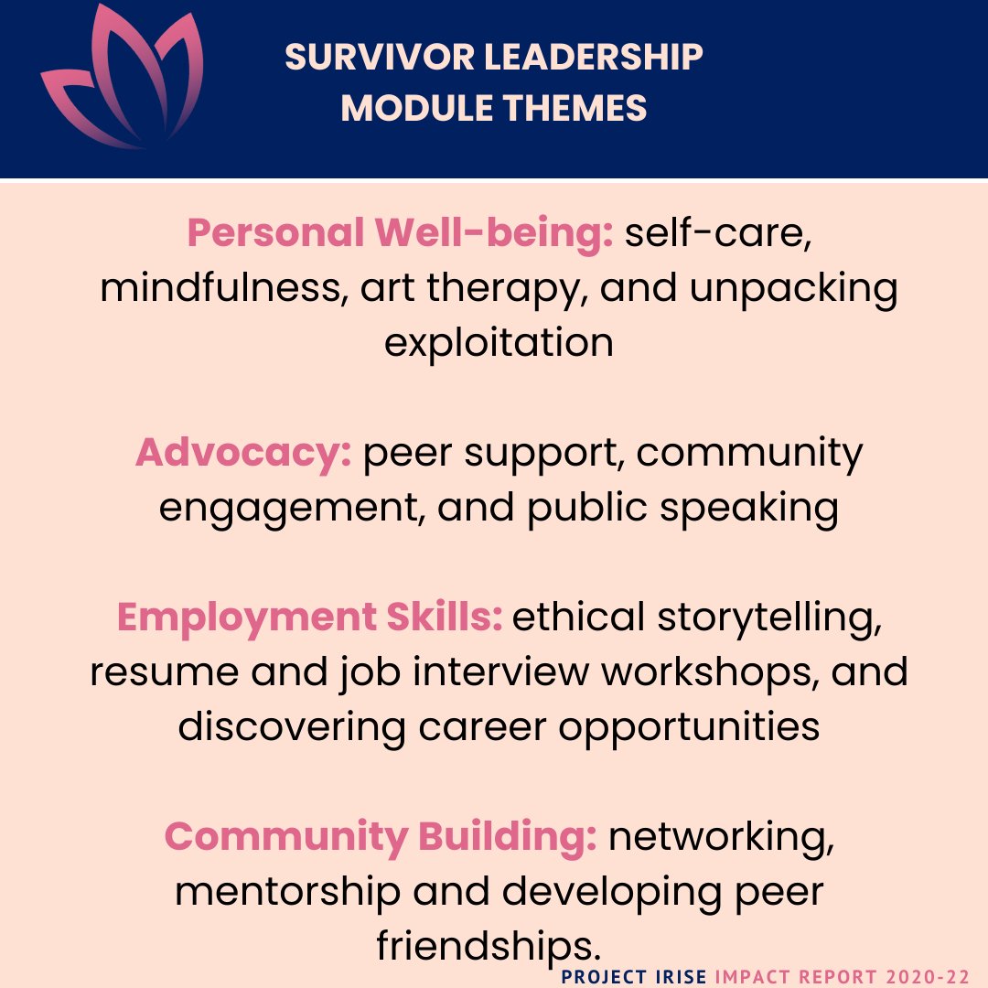 Project iRISE tweet media