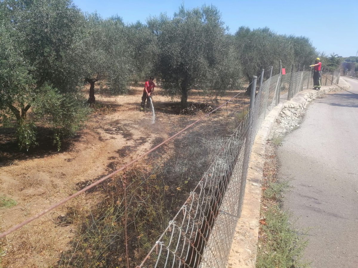 ibanat_IB's tweet photo. #IASonRotger Mitjans @cmat_ib que hi han actuat:
1 autobomba, 7 brigadistes, 2 @AgentsMediAmbIB i 1 tècnic
#Alcúdia #Mallorca
@BombersdeMca @Emergencies_112 https://t.co/Nl5qxrEUQG
