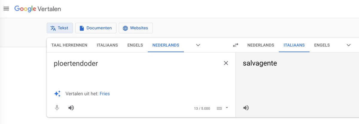 Nooit geweten dat een 'salvagente' zo gevaarlijk was.
Een vertaling vanuit het Fries komt dichter in de buurt.
#ploertendoder #vertaleniseenvak #fail #googletranslate