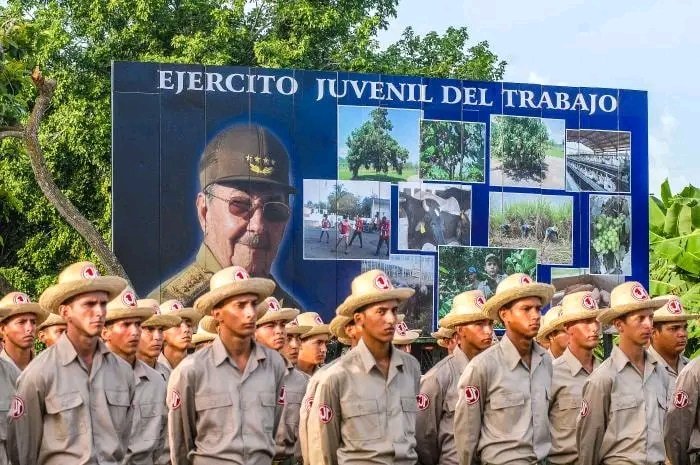 Hoy arriba a su 49 aniversario el Ejército Juvenil del Trabajo  fuerza de vanguardia que combina la defensa de la Patria con actividades productivas y sociales. #Cuba #CubaViveYTrabaja #CubaPorLaPaz #CubaPorLaPaz <a href="/MinfarC/">Minfar_Cuba</a>