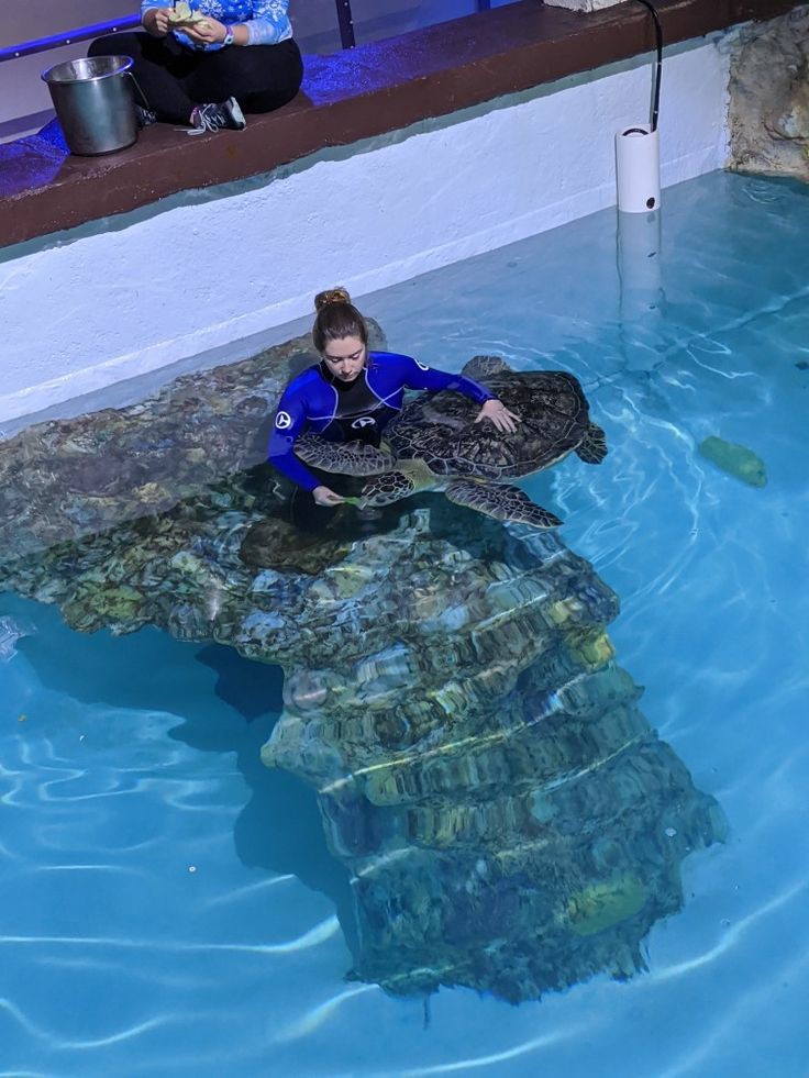 ⃛*ೃ. ₍ :🌙:₎ 𝐀cabei de sair do instituto, e nossa amiguinha vem se recuperando bem, o que é uma boa notícia, já que logo mais ela poderá voltar para seu hábitat natural, seus ovinhos também estão bem protegidos, e daqui alguns dias teremos novos integrantes na família!!