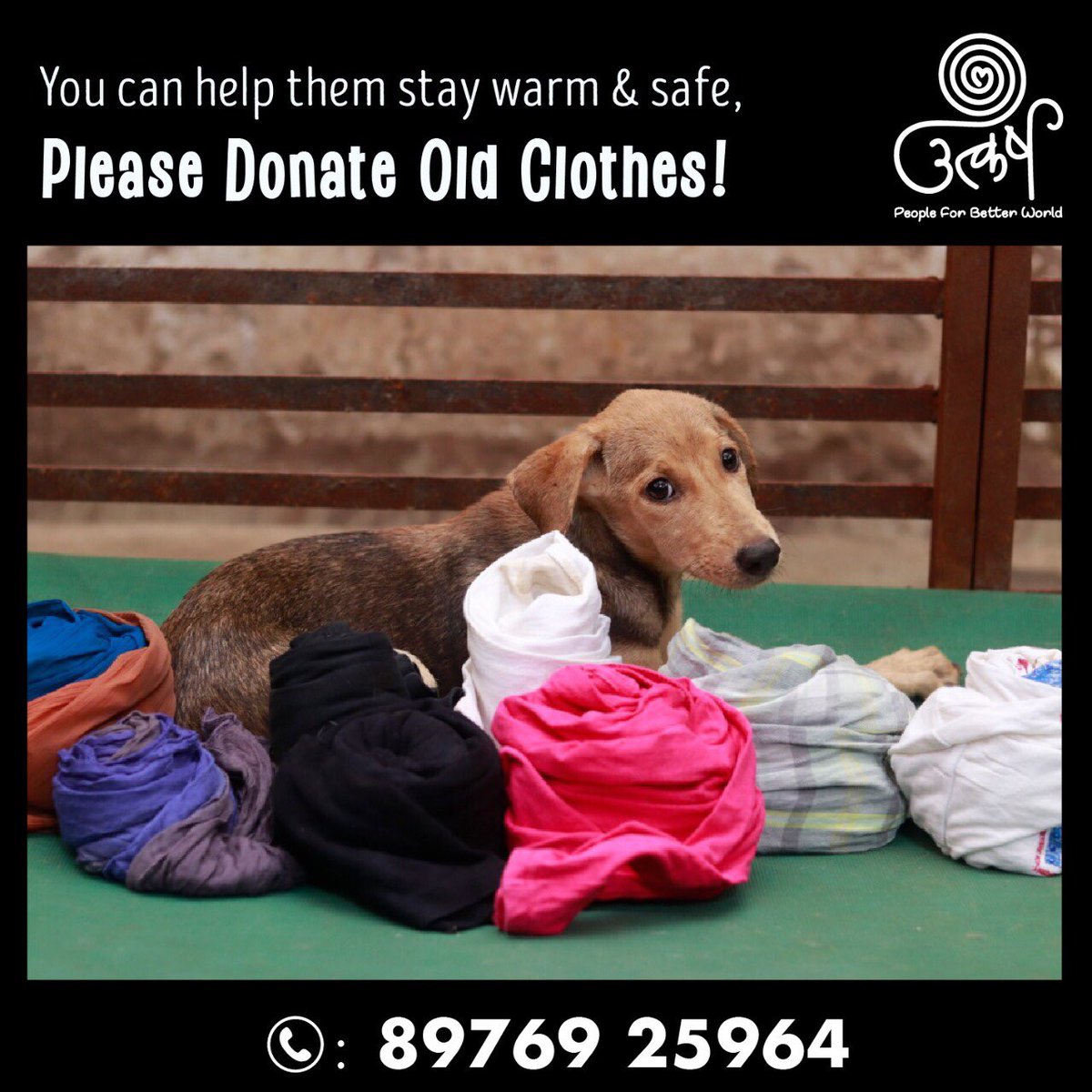 AnimalUtkarsh's tweet photo. Please send your old #clothes to #Utkarsh as we make little beds & sheets out of them to keep our #pawed friends warm and dry as they recover from serious illnesses or injuries. Please call us!๐๐ป
#Peopleforbetterworld #clothdonate #donation #charity #help #nonprofit #DonateCloth https://t.co/h9hmJoHXZB