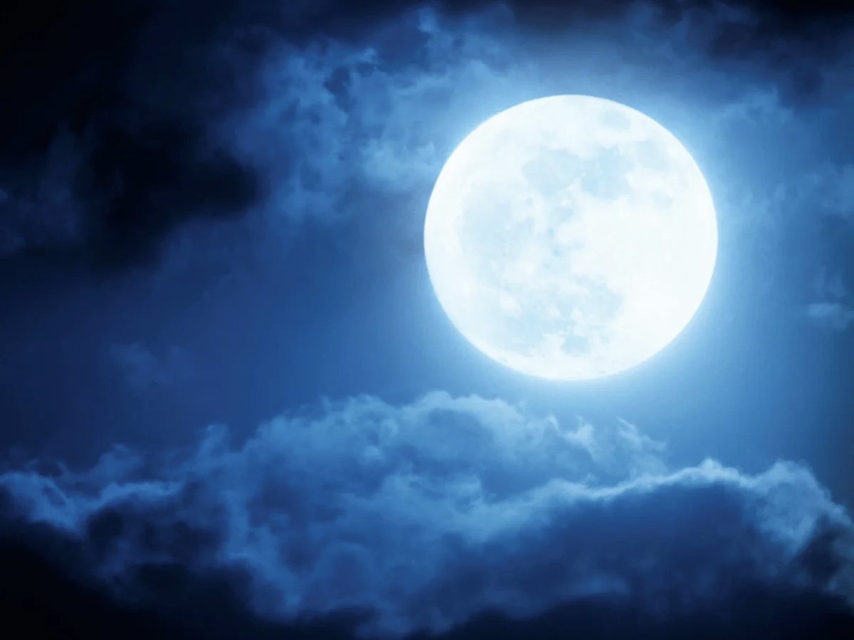 seres_curiosos's tweet photo. Cuando miras al cielo nocturno, el cuerpo celeste más brillante es la Luna. Cuando tenemos Luna llena, ilumina tanto que la noche deja de ser tan oscura. Pero, ¿como te quedas si te digo que la luna es el cuerpo del sistema solar más oscuro? Me explico en este minihilo (1/8): https://t.co/9Yz7sFCL1H