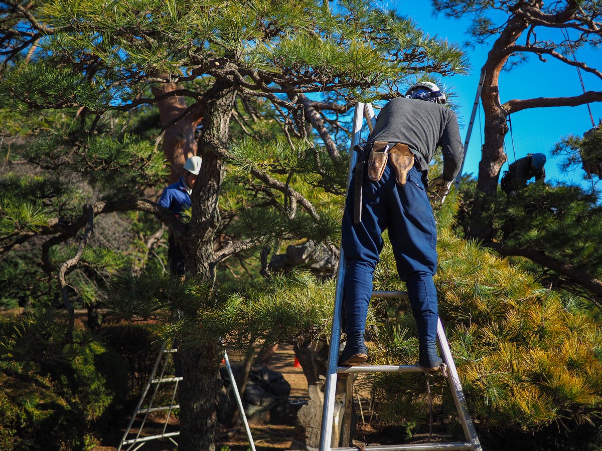 Oneforest_H2020's tweet photo. 🌲@Oneforest_H2020 bridges forestry, industry, &amp; society to enhance rural development and to create a common understanding of the value of #ForestEcosystemServices. Covering all aspects of the #ForestWoodValueChain, from production, across operations, tosupply, processing, etc. https://t.co/JpHOlYPdxB