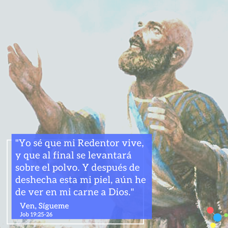 estaca_bosques's tweet photo. #VenSíguemePersonal Job 19. "Jesucristo es mi Redentor."
https://t.co/6QGSJtQJvt
#VenSígueme #Job #VidaTerrenal #Jesucristo #Expiación #Evangelio #LDS #SUD https://t.co/WGAwFr82cI
