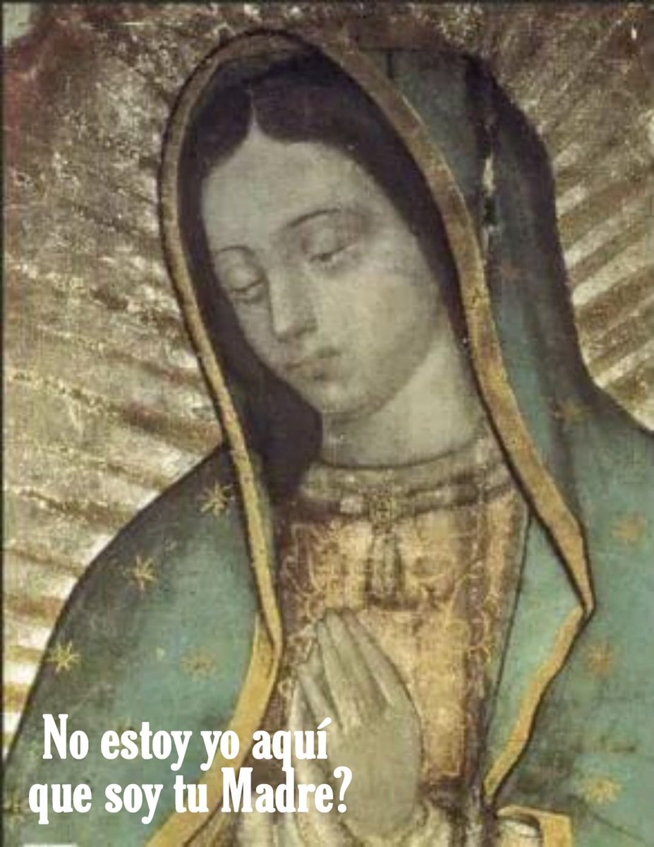 «Mujer, grande es tu fe; que te suceda como deseas». ¿Cuál es la fe grande? La fe grande es aquella que lleva la propia historia, marcada también por las heridas, a los pies del Señor pidiéndole que la sane, que le dé sentido. ( Mt. 15, 21-28). 
ORACIONES!