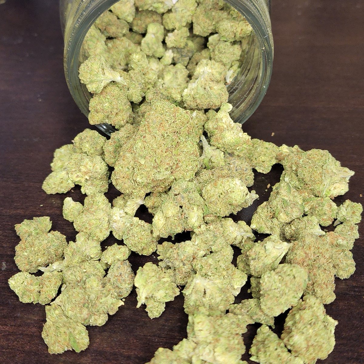 THCONLYBRO's tweet photo. Fatso Bx1 💚 

#thconlybro #fatso #cannabis #cannabiscomunity #420 #stoner #pothead #recreational #medicine https://t.co/rQuCYDvcHj