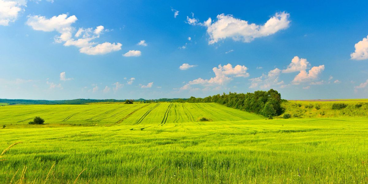 thelandsite (@thelandsite) on Twitter photo Succession planning is not just about working towards your retirement, it’s about protecting and making the most of your assets for the future. read more from The Landsite member <a href="/DR_Rural/">Davidson & Robertson</a> zcu.io/PYo4
#land #assets #succession #property #realestateinvesting Succession planning is not just about working towards your retirement, it’s about protecting and making the most of your assets for the future. read more from The Landsite member <a href="/DR_Rural/">Davidson & Robertson</a> zcu.io/PYo4
#land #assets #succession #property #realestateinvesting