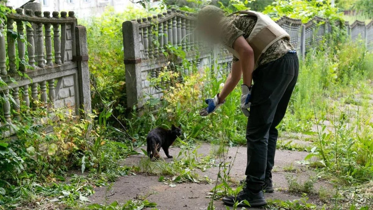 CAPTURED VOLUNTEERS UPDATE:The 3 Vetmarket volunteers in #Ukraine captured by Russians as they helped animals in Lysychansk are still in prison. No sign of release yet.Sometimes they can make outside calls.We’ll update you as news comes in. Original story: bit.ly/3vu3cJV