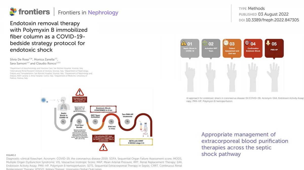 SilviaDeRosa11's tweet photo. 4. Drafting of local #algorithms/#flowchart;
5. Avoid redundant prescriptions;
6. Not being impulsive in starting #EBPT;
7. Strict collaboration with nephrology laboratory in daily practice; https://t.co/kgpZZWIGkP