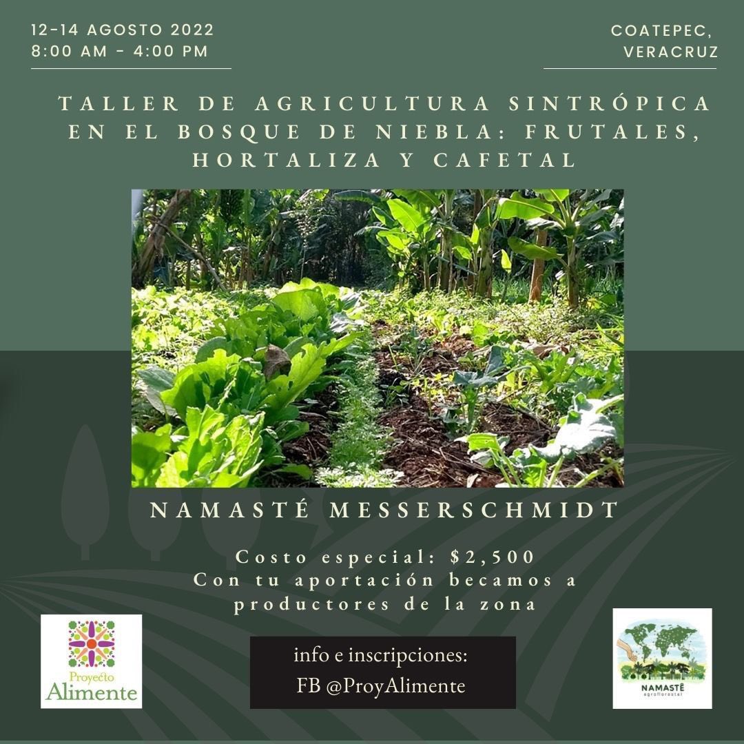 DiegoPorrasM's tweet photo. En #Coatepec, #Veracruz.
Porqué el cafetal también puede ser un bosque comestible. Informes: @Proy_Alimente https://t.co/Vb8SLurjX5