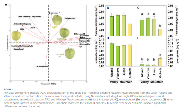 #Paper
📃Environmentally driven transcriptomic and metabolic changes leading to color differences in “Golden Reinders” apples
👥Fernández-Cancelo P, Iglesias-Sanchez A, Torres-Montilla S, Ribas-Agustí A, Teixidó N, Rodriguez-Concepcion M, Giné-Bordonaba J

doi.org/10.3389/fpls.2…
